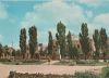 Polen - Suwalki - ca. 1975