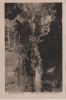 Breitachklamm - Steg in der Klamm - ca. 1935