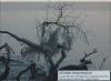 Rügen - Winterimpression am Königsstuhl