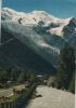 Chamonix-Mont-Blanc - Frankreich - Arve