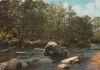 Frankreich - Forets et Rvieres de France - 1976