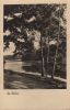 unbekannter Ort - am Waldsee - 1942