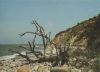 Ostsee - Strand