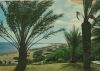 Vorschaubild: Playa del Inglés - Spanien - Ansicht Playa del Inglés - Spanien - Ansicht