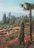Mainau (Insel) - Blick von der Mediterranterrasse - 1991