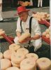 Niederlande - Alkmaar - Kaasmarkt - ca. 1980