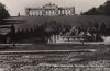 Österreich - Wien - Schönbrunn, Gloriette - ca. 1955