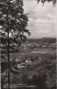 Dassel - Blick vom Burgberg mit Eisenhütte - 1964