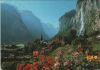 Schweiz - Lauterbrunnen - Staubbachfall - 1995