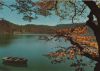Frankreich - Lac Pavin - 1966