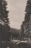 Masserberg - Im Massertal - 1923