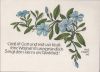 Religiöser Spruch Sonderstempel